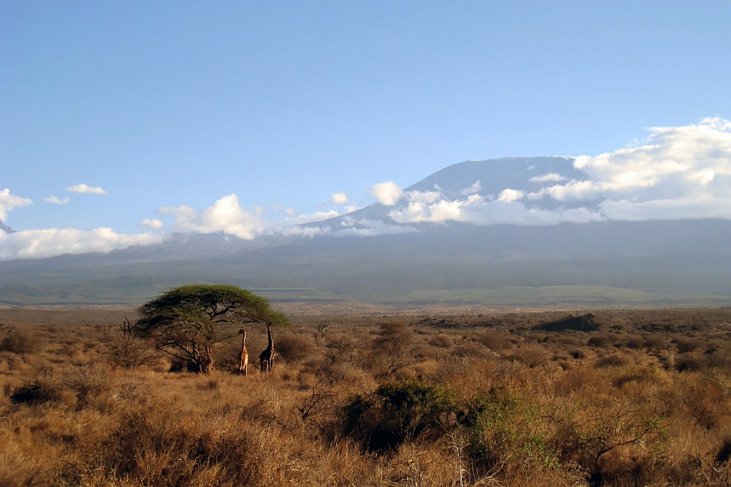 Kenia (261).jpg